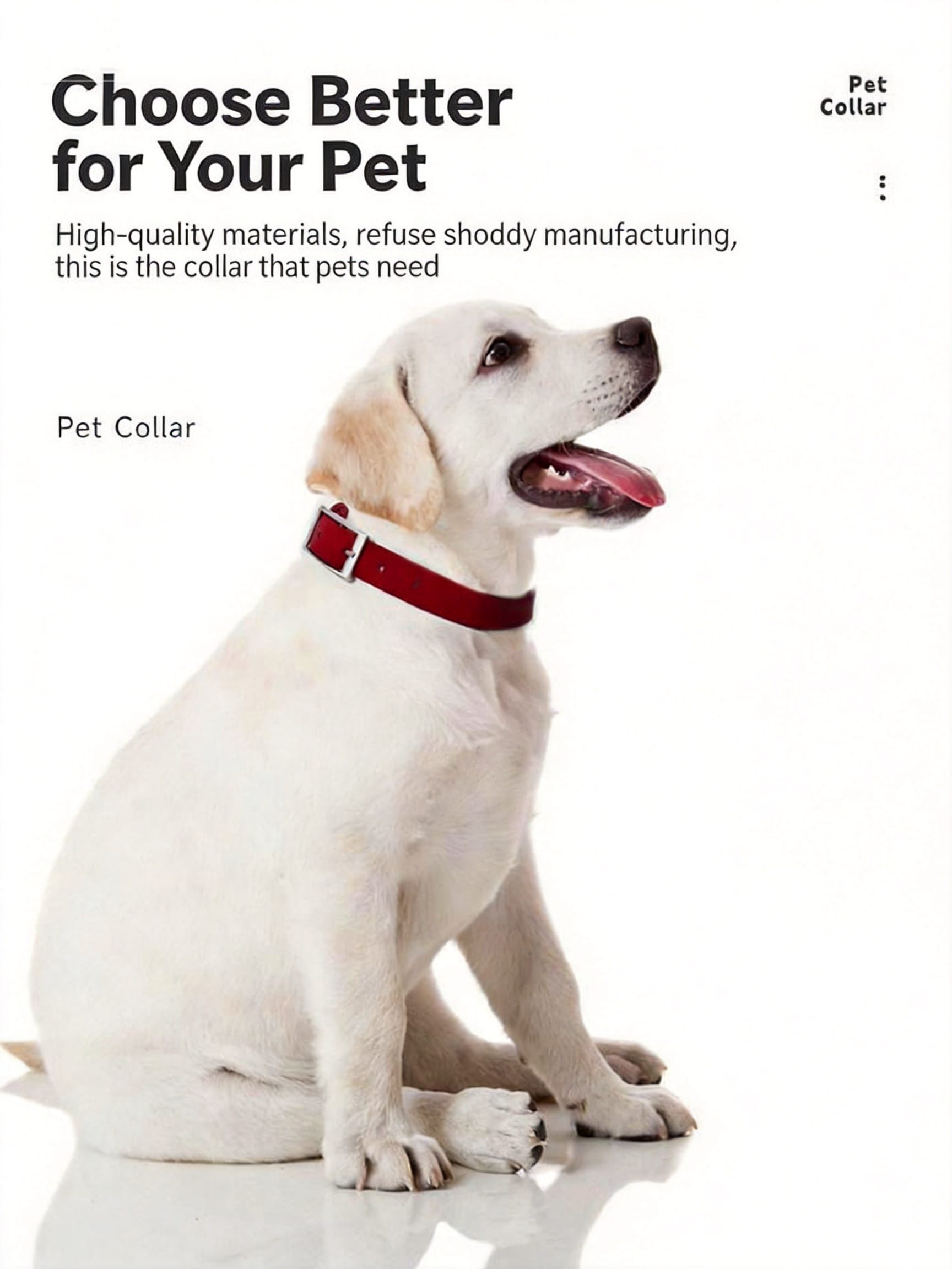 Labrador wearing MoonianPet waterproof coated webbing collar outdoors