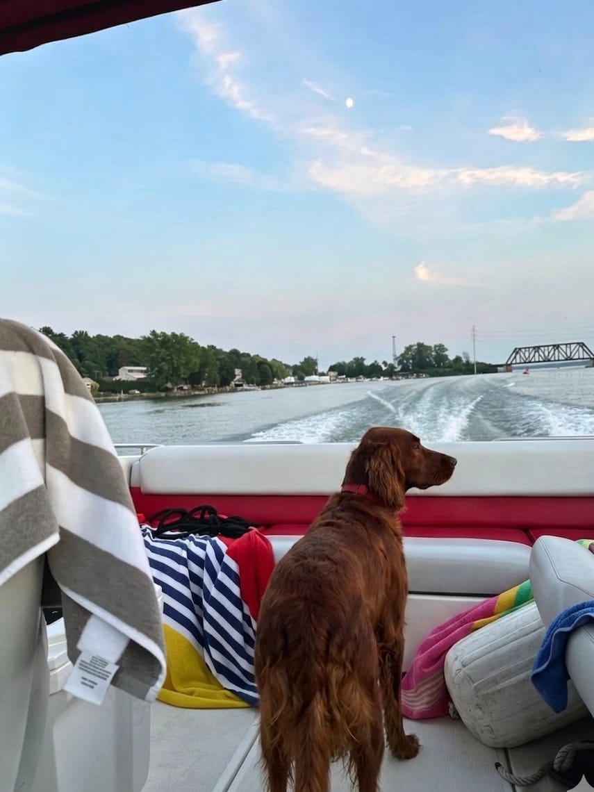 Irish Setter wearing a red MoonianPet waterproof dog collar on a boat — waterproof coated webbing collar ideal for dogs that swim and spend time on the water