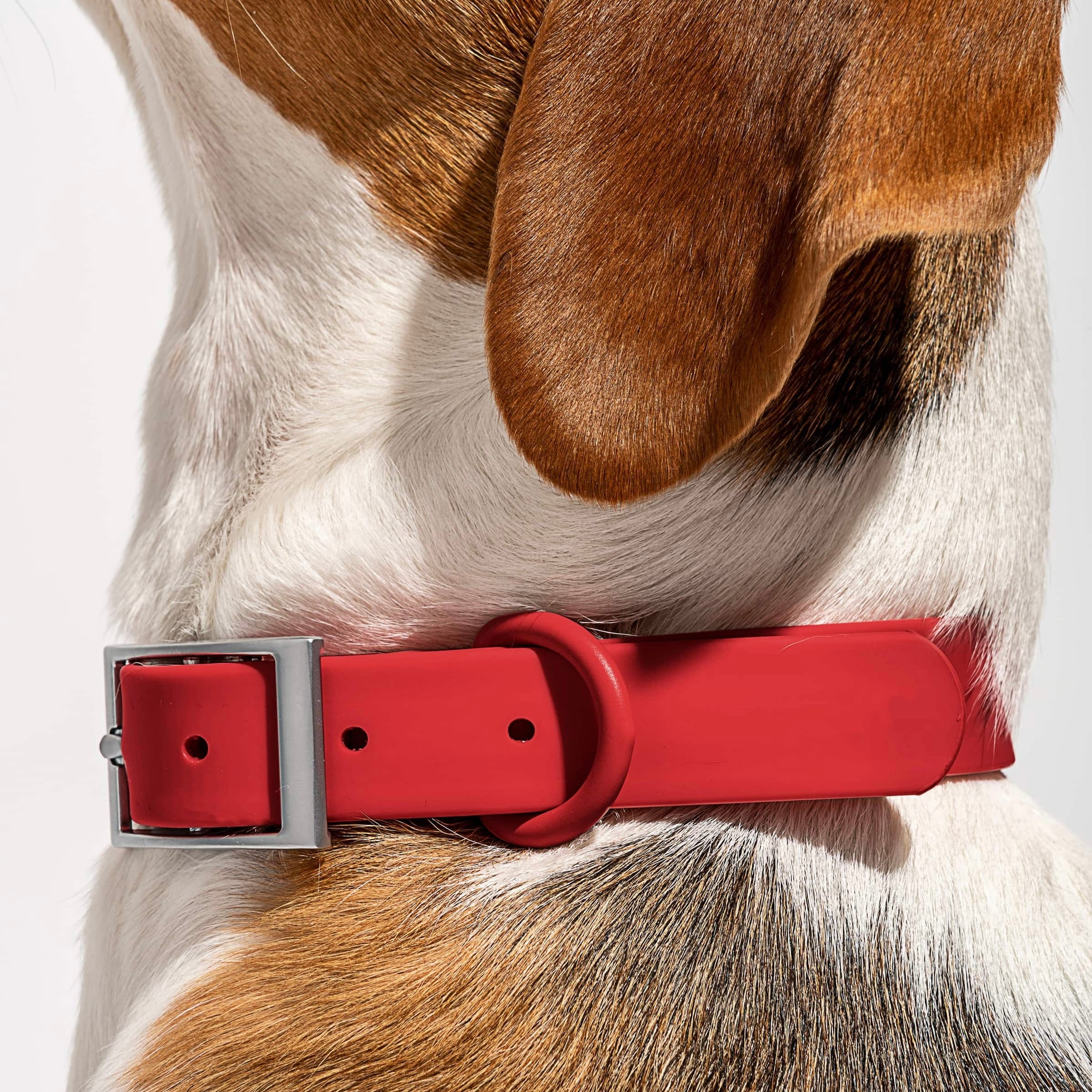 MoonianPet waterproof dog collar in red — smooth coated webbing sits flush against dog's neck, no chafing