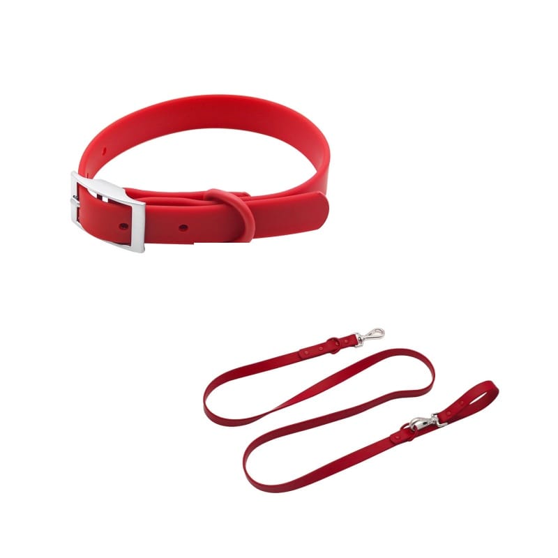 set main red collar leash