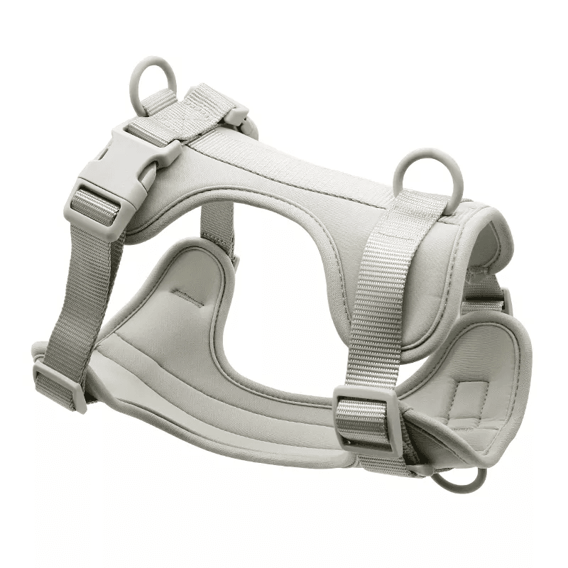 MoonianPet gray no-pull dog harness on white background — lightweight XS harness with smooth neoprene surface suited to Italian Greyhound skin and build