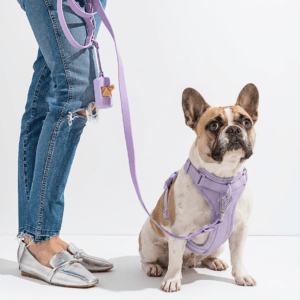 MoonianPet Dog Harness & Leash Set — No-Pull, Waterproof, 11 Colors