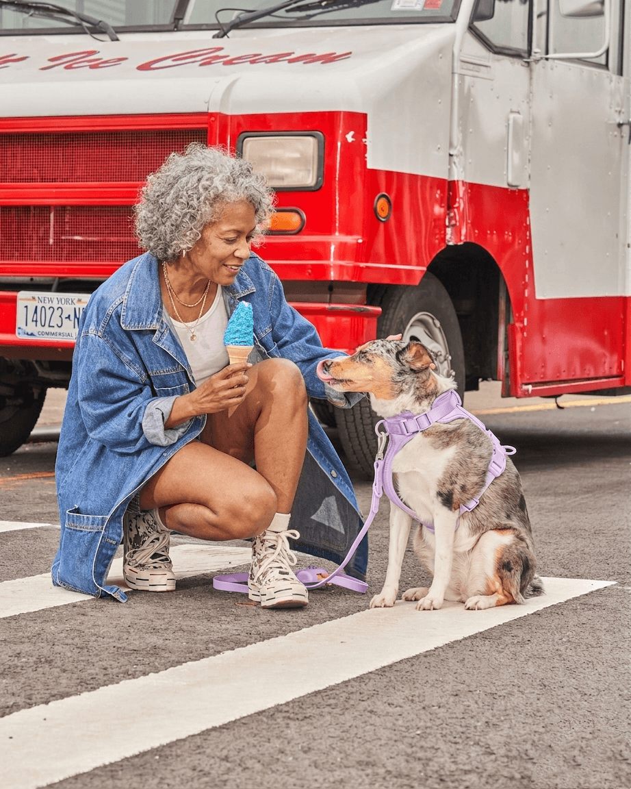 MoonianPet dog harness leash set purple outdoor lifestyle
