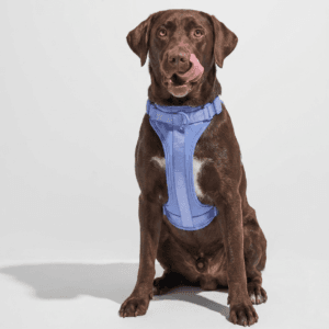 MoonianPet No-Pull Dog Harness — Neoprene Padded, 11 Colors