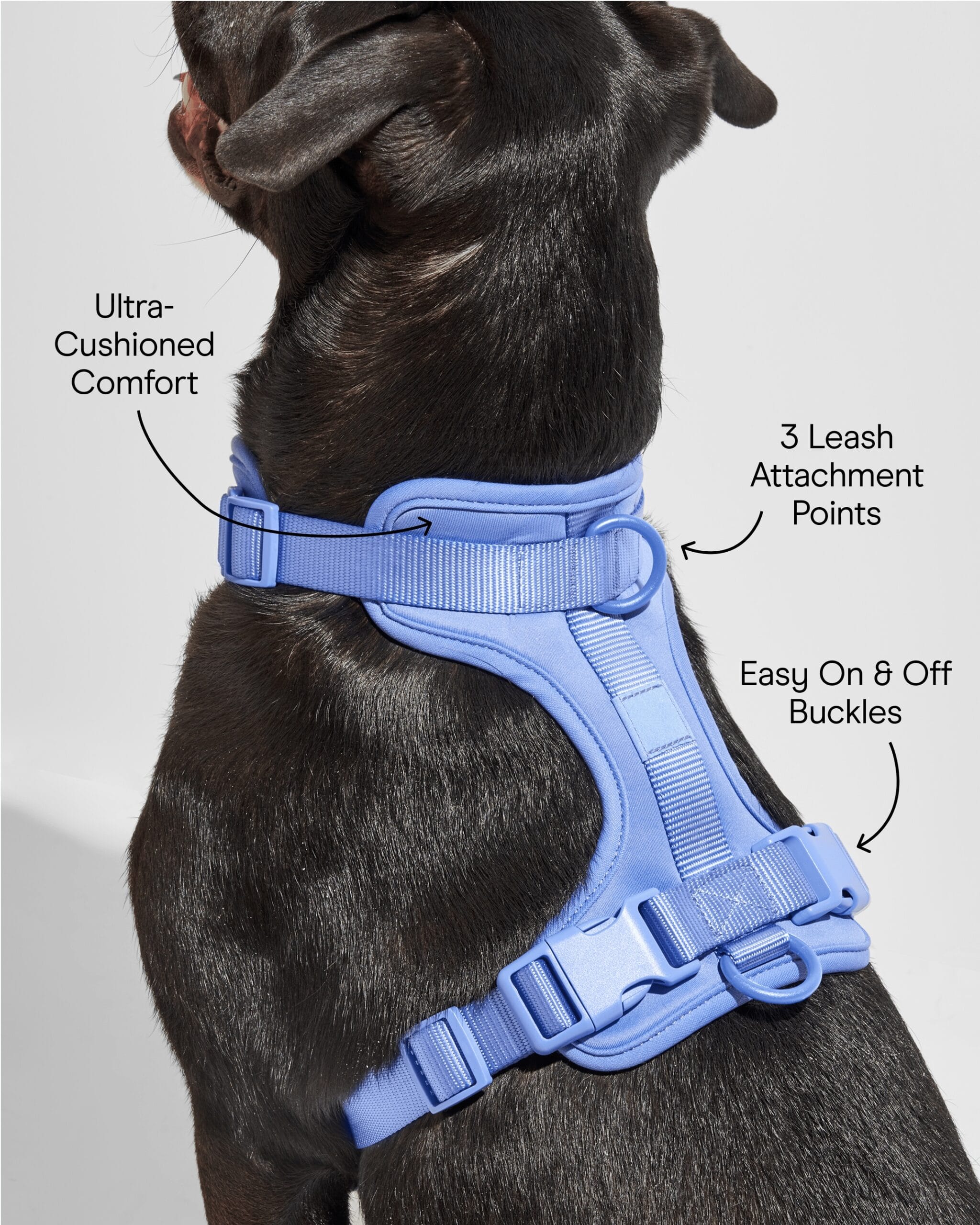 MoonianPet dog harness sky blue features top view