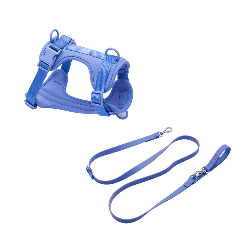 MoonianPet no-pull harness and leash set sky blue — matching neoprene harness and waterproof leash