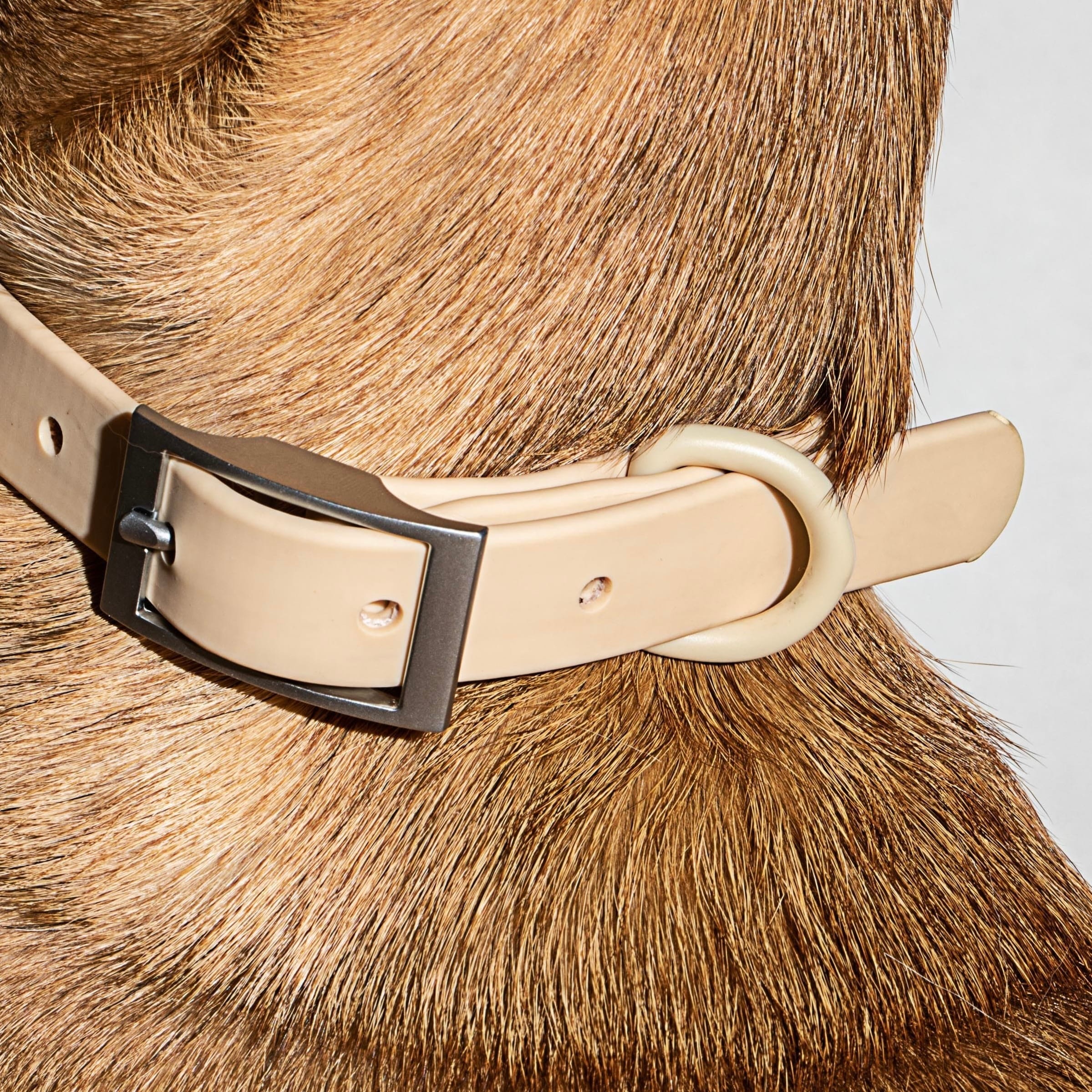 Sand coloured waterproof dog collar shown in neck closeup — MoonianPet adjustable collar demonstrating correct fit on a small dog