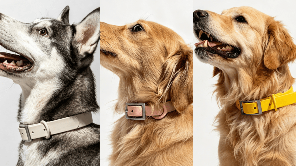 Three dogs wearing different waterproof dog collars - husky in white, golden retriever in pink, and golden retriever in yellow, showcasing top picks for active dogs