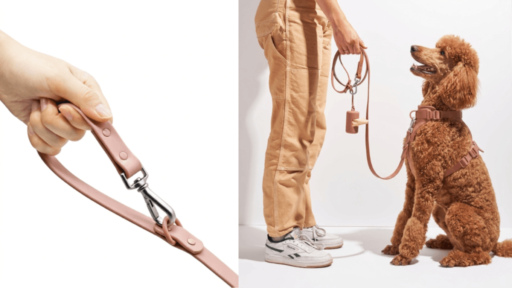 Brown poodle sitting calmly wearing a tan no-pull harness and leash during training, demonstrating proper technique to stop dog pulling on walks