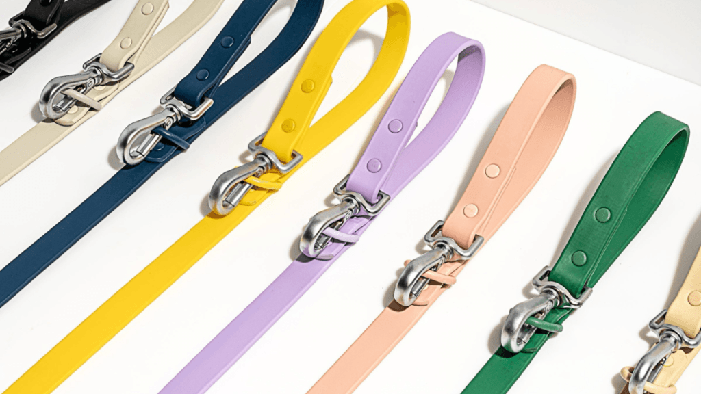 Collection of colorful dog leashes in various widths and materials including coated webbing, showing metal snap hooks and different color options – perfect for choosing the right leash length, width and durability
