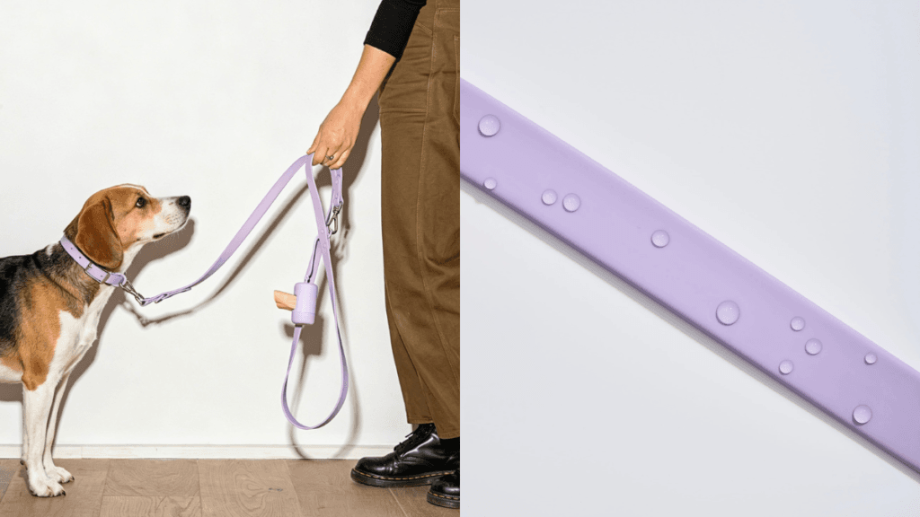 MoonianPet lilac waterproof dog leash with beagle dog lifestyle shot and close-up detail