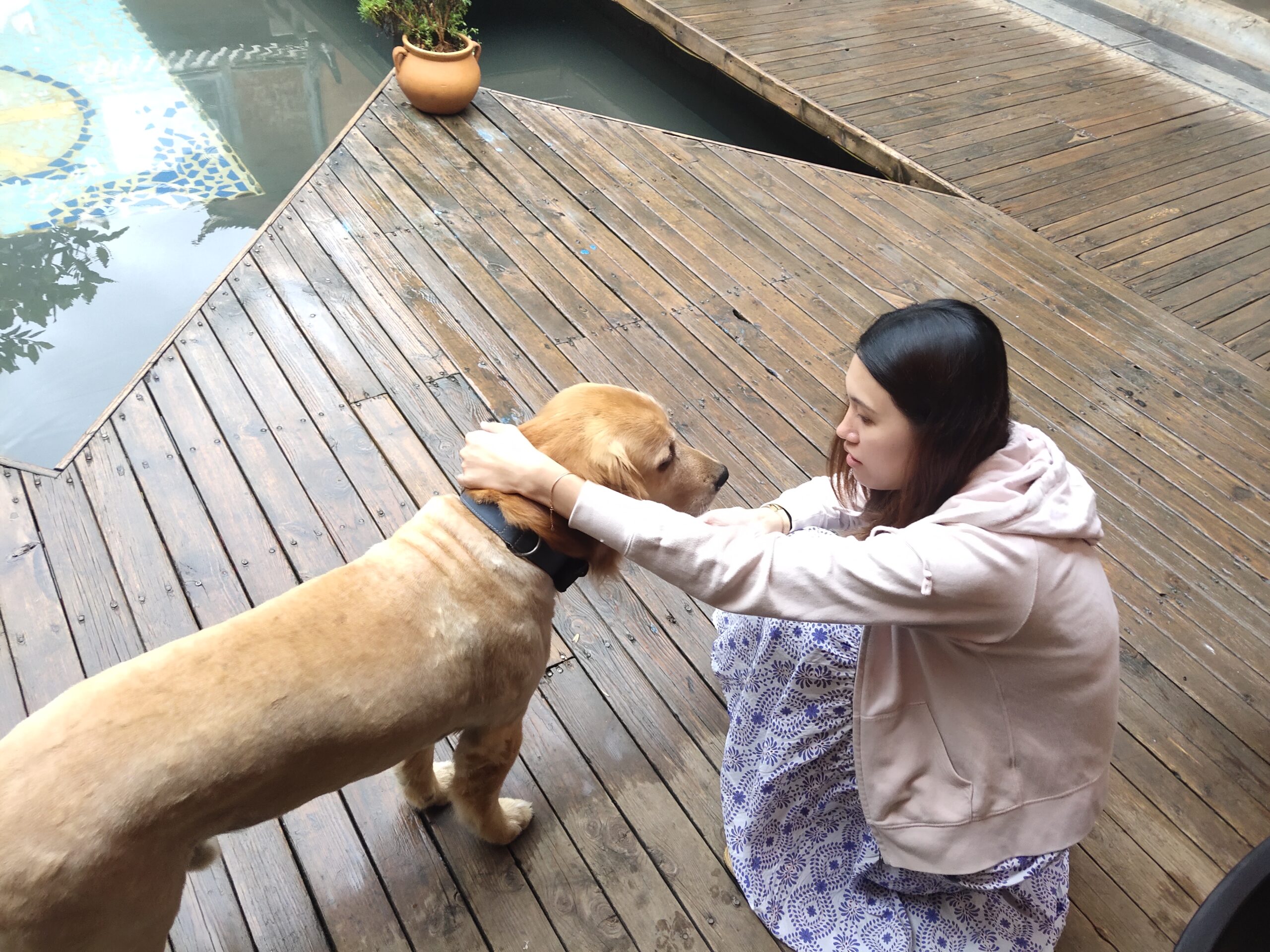 Wenyue interacting with a dog on wooden deck, MoonianPet founder