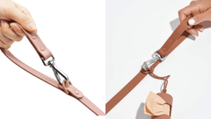 Dog Leash Size Guide: What Length and Width Do You Need?