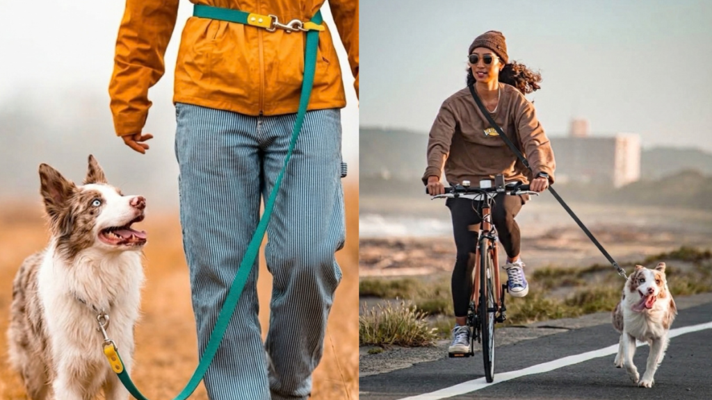 Person using a hands-free cross body dog leash while walking and biking with an Australian Shepherd