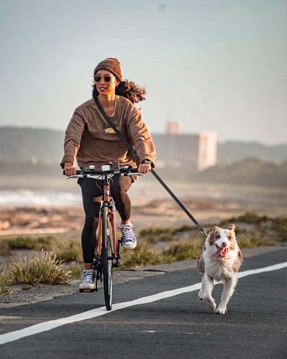 Cycling with an Australian Shepherd using the hands-free dog leash