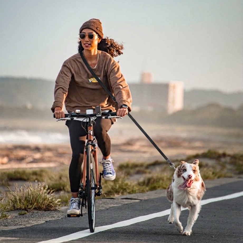 MoonianPet Hands-Free Two-Tone Waterproof Dog Leash - Image 3