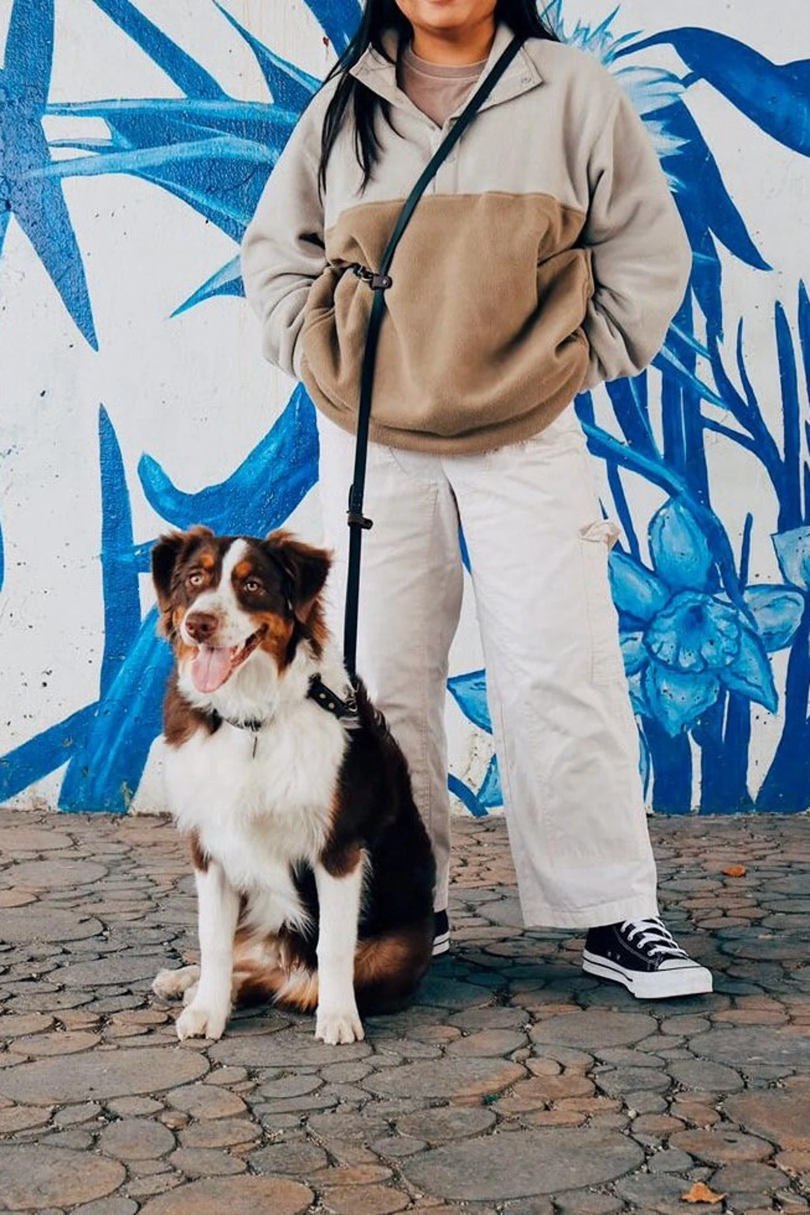 Australian Shepherd wearing the black and white two-tone hands-free leash