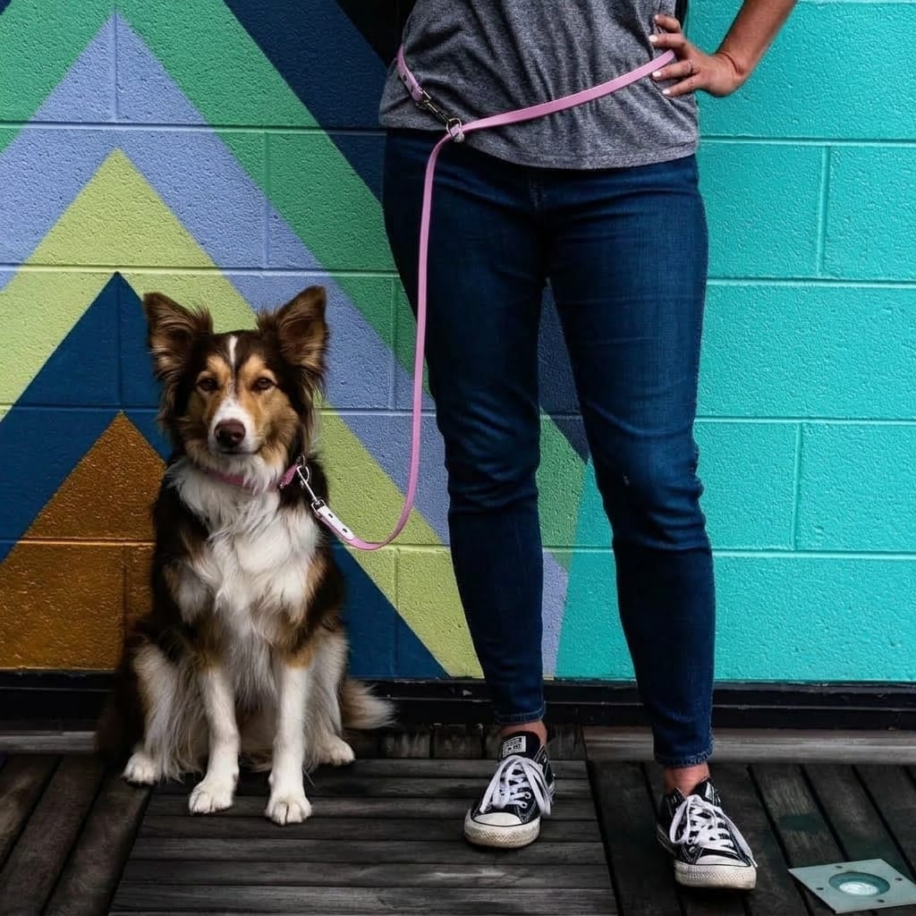 MoonianPet Hands-Free Two-Tone Waterproof Dog Leash - Image 5
