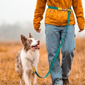 MoonianPet Hands-Free Two-Tone Waterproof Dog Leash